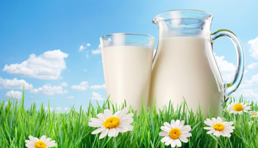 Physio Med Delivers: Reduced Sickness Absence to Dairy Crest